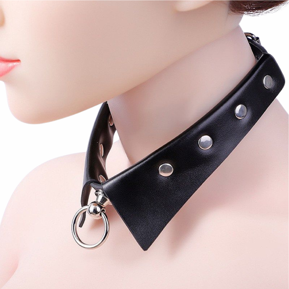 Coleira com Guia de corrente