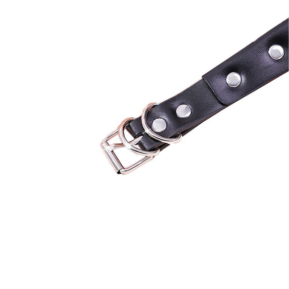 Coleira com Guia de corrente