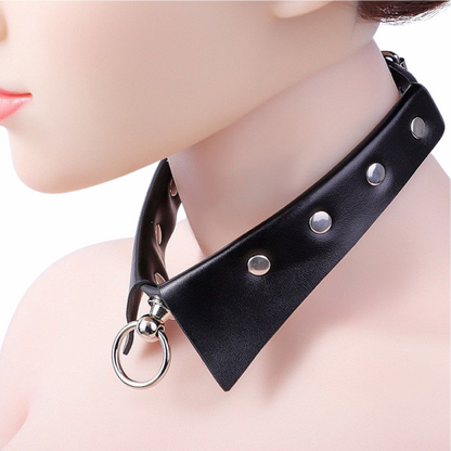 Coleira com Guia de corrente