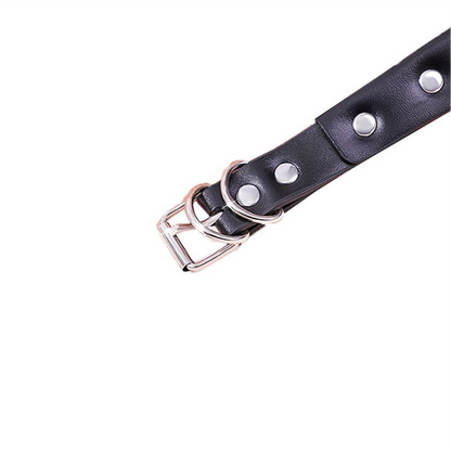 Coleira com Guia de corrente