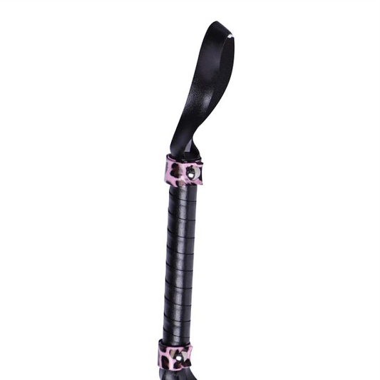 Chicote Preto com Onça