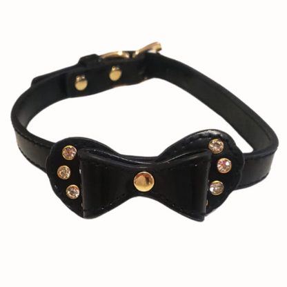 Coleira Preta com Guia de corrente Luxo