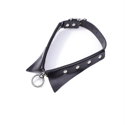 Coleira com Guia de corrente