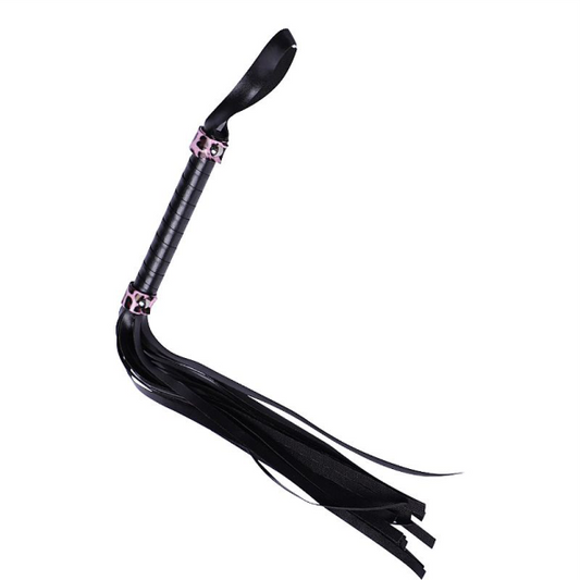 Chicote Preto com Onça