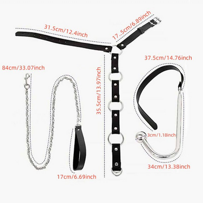 Algema com Coleira e Gancho Anal em Aço - SI - 9694